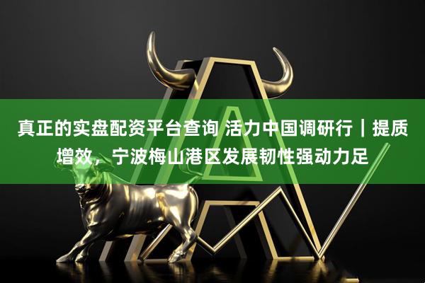 真正的实盘配资平台查询 活力中国调研行｜提质增效，宁波梅山港区发展韧性强动力足