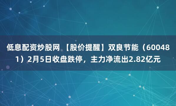 低息配资炒股网 【股价提醒】双良节能（600481）2月5日收盘跌停，主力净流出2.82亿元