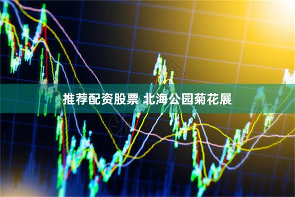 推荐配资股票 北海公园菊花展